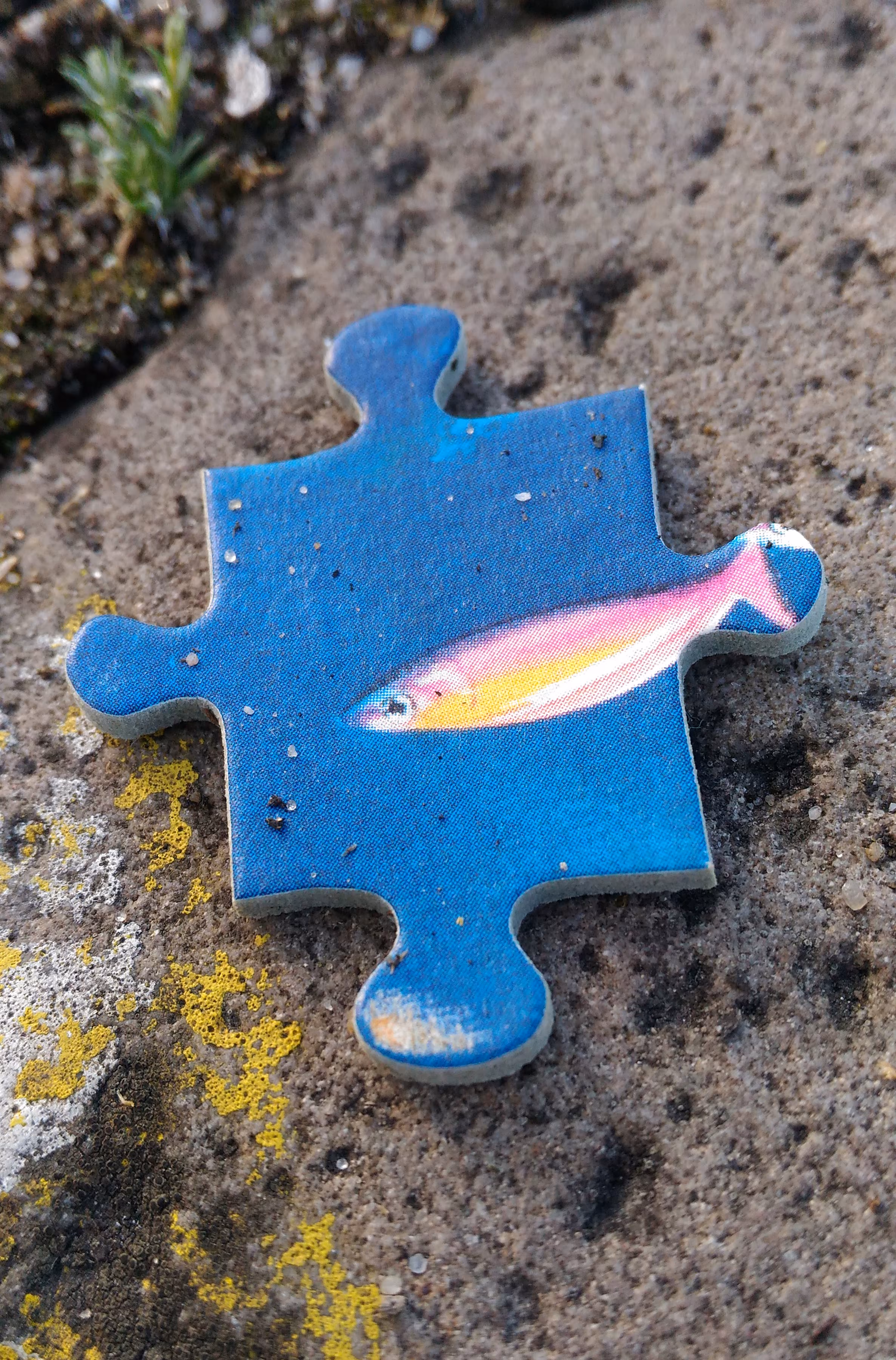 PUZZLED or UNiverse
