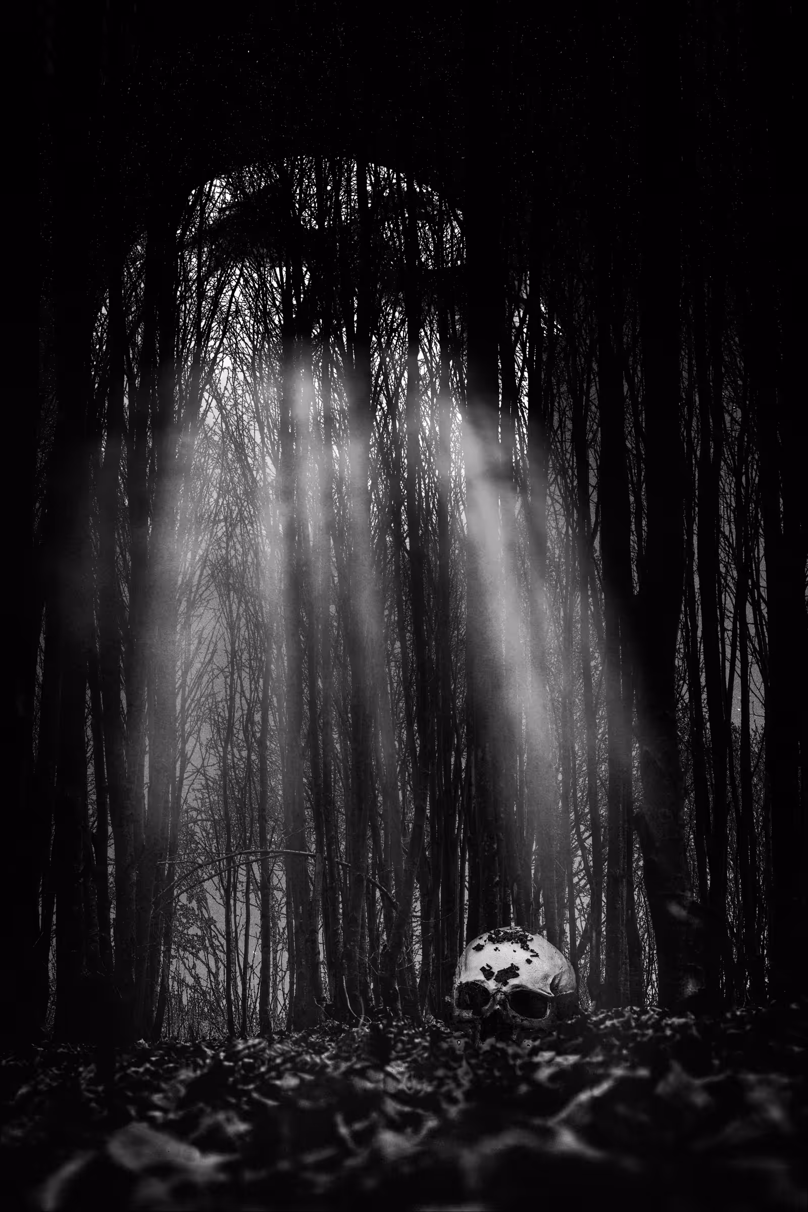 The Hunter