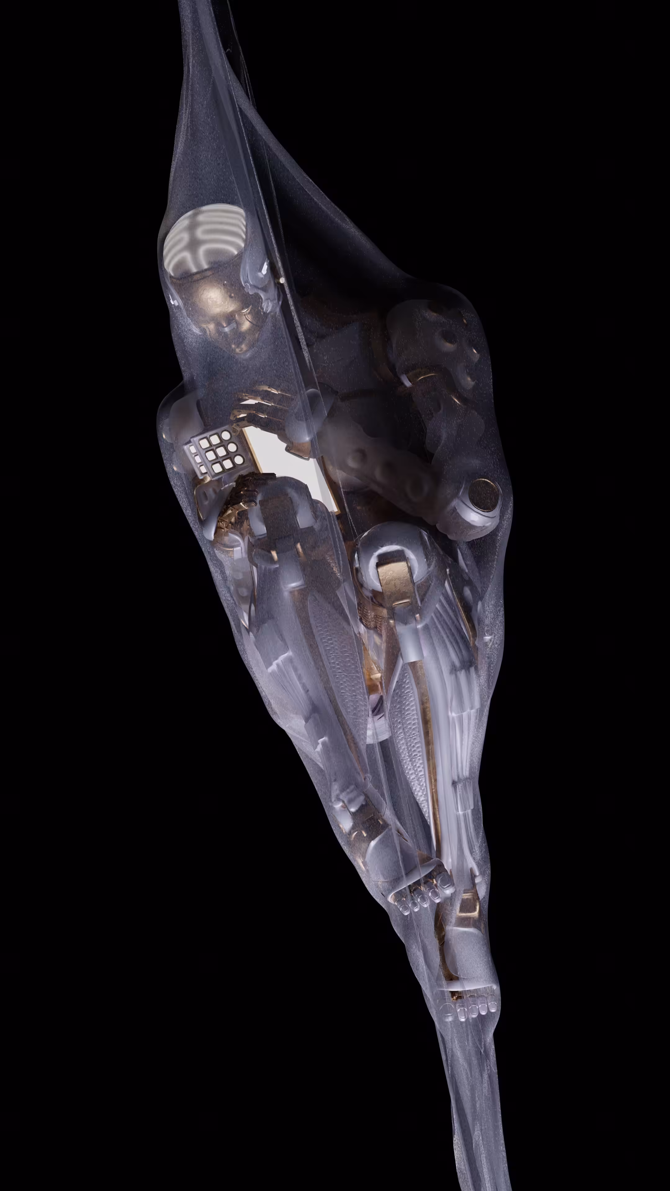 Cocoon 