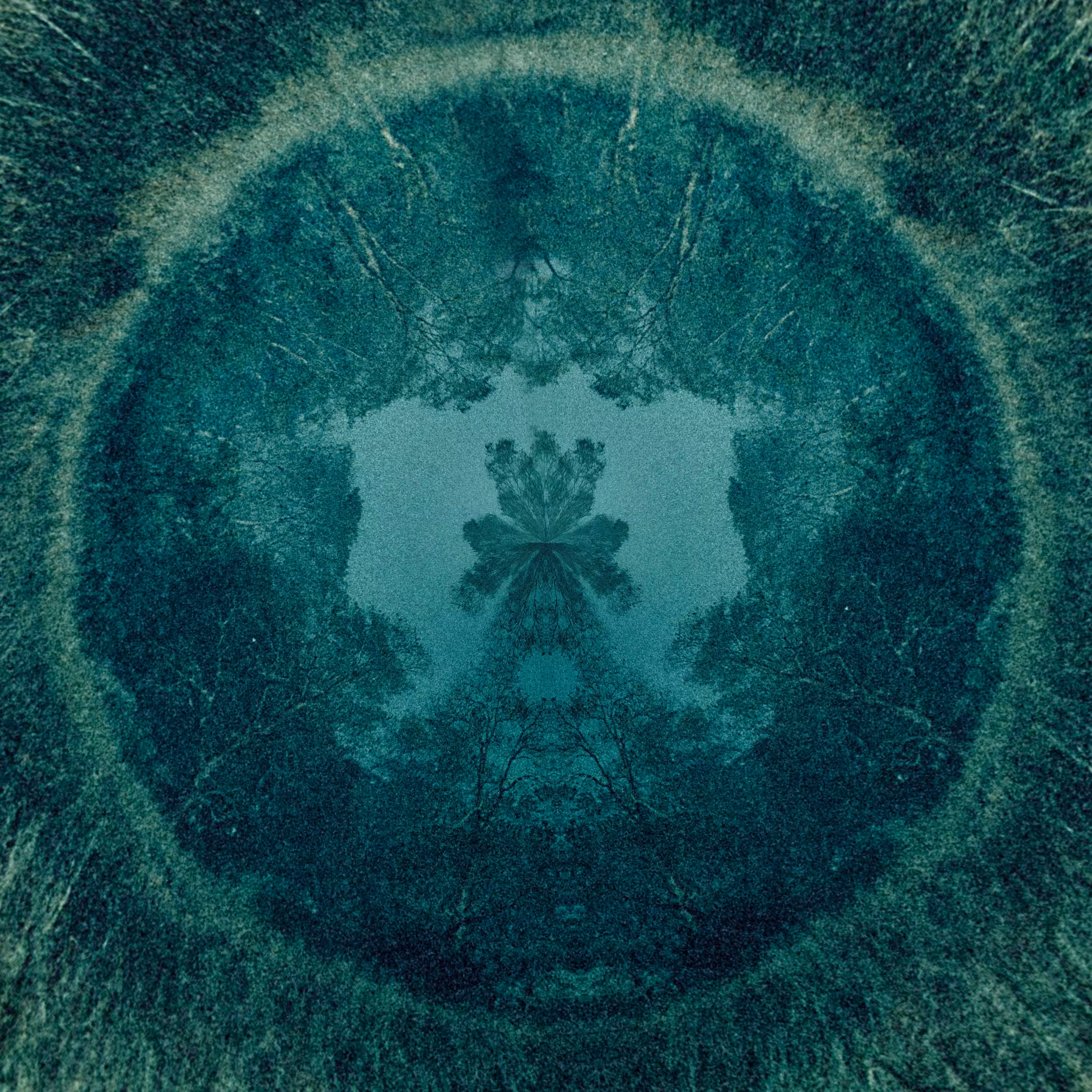 The Anima