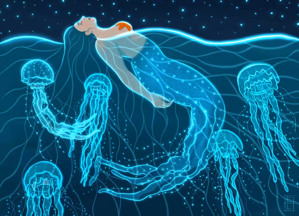 Jellyfish