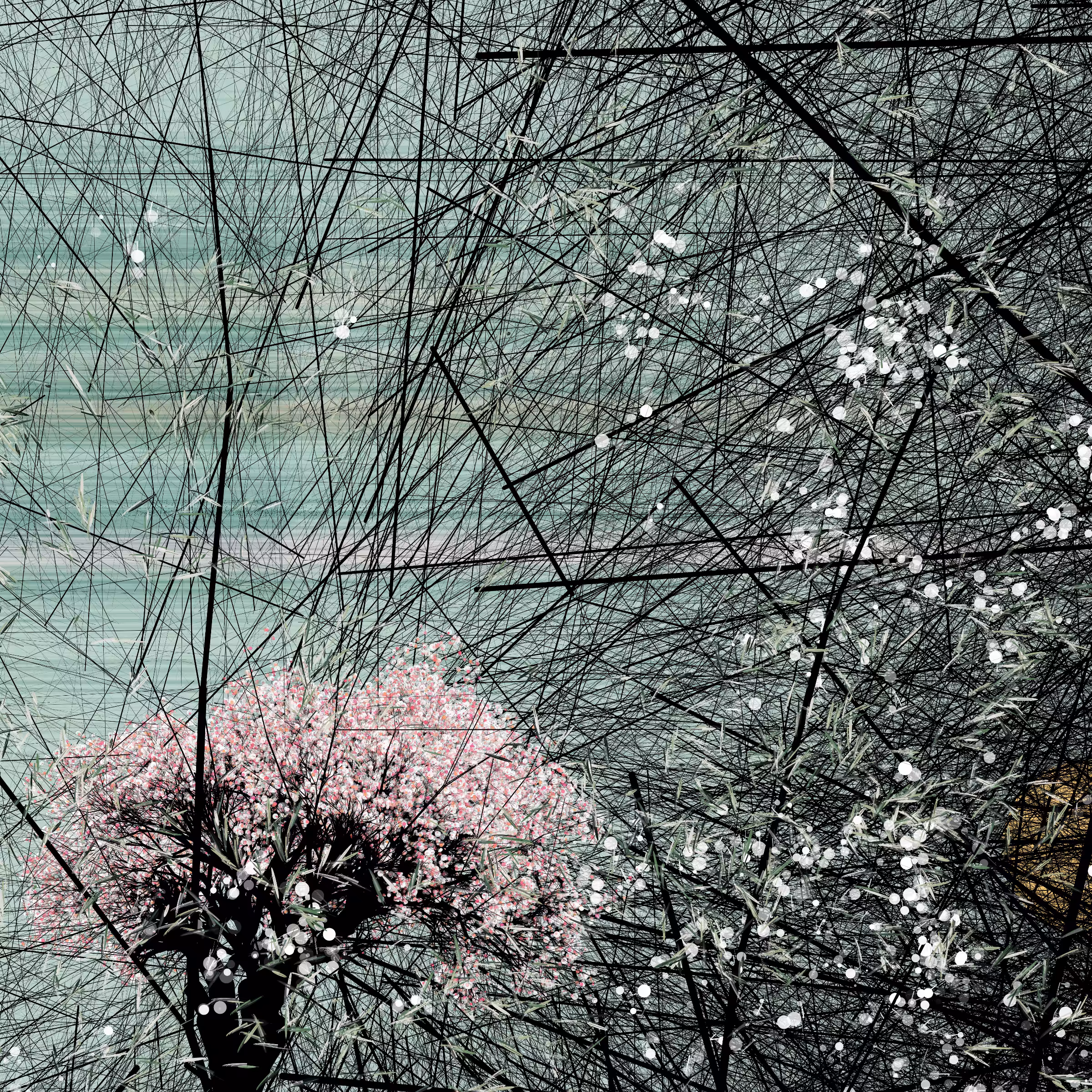 conversation with the wind #338