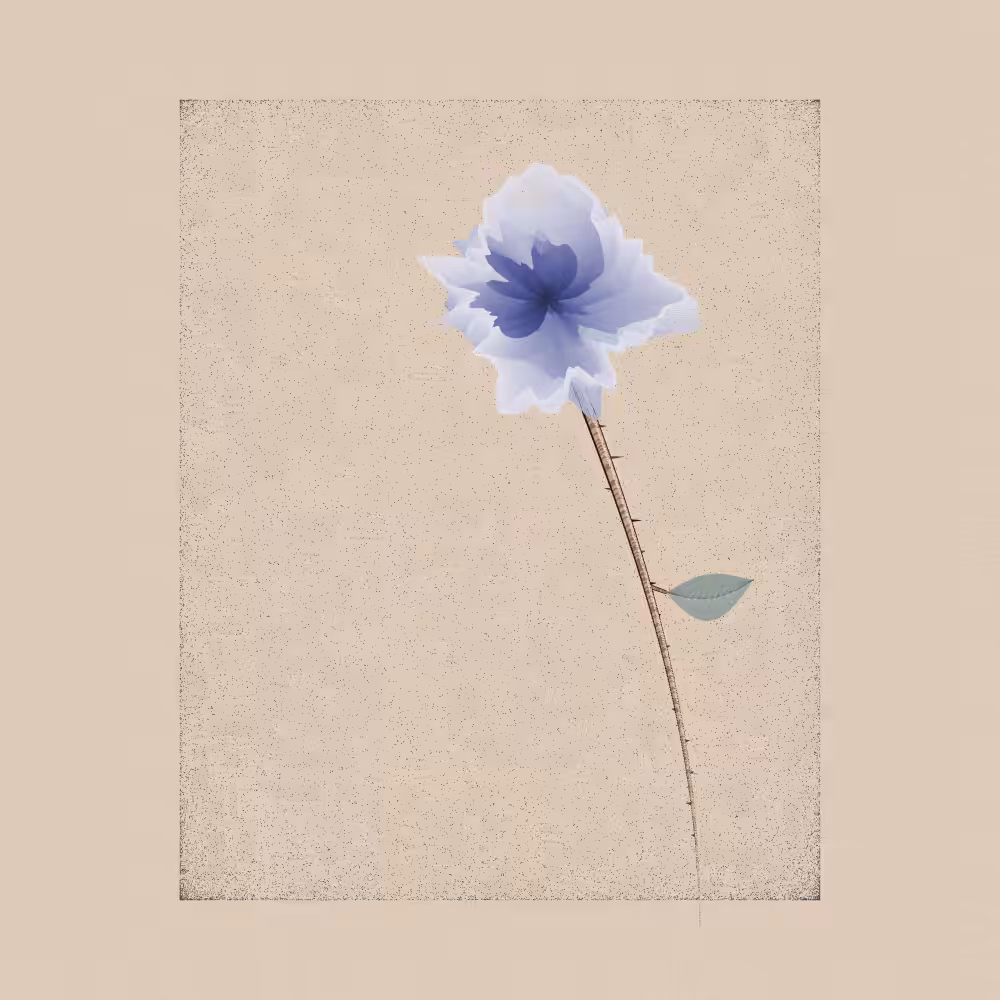 Magnolia #6