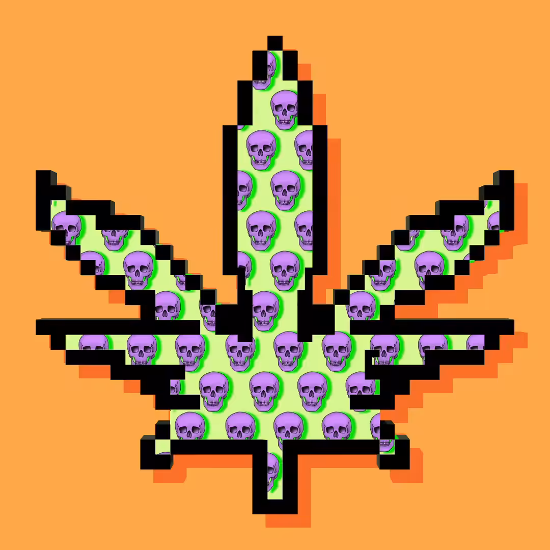 SKELE-LEAF 2