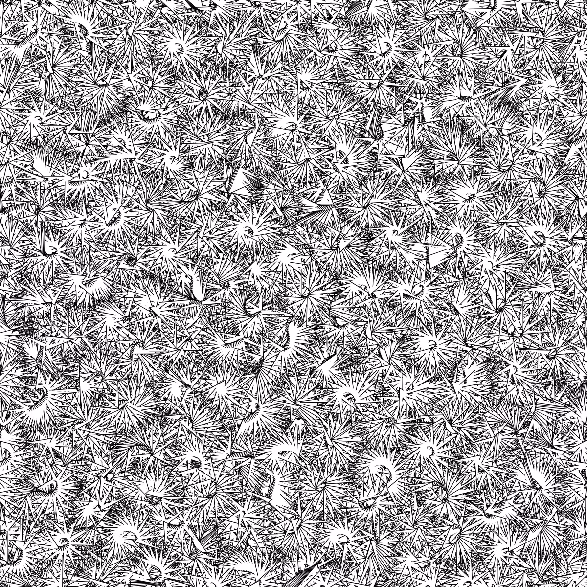 Fantacy Carpet #62