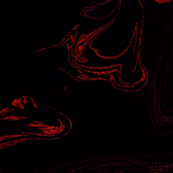 Religious Apparatus 2