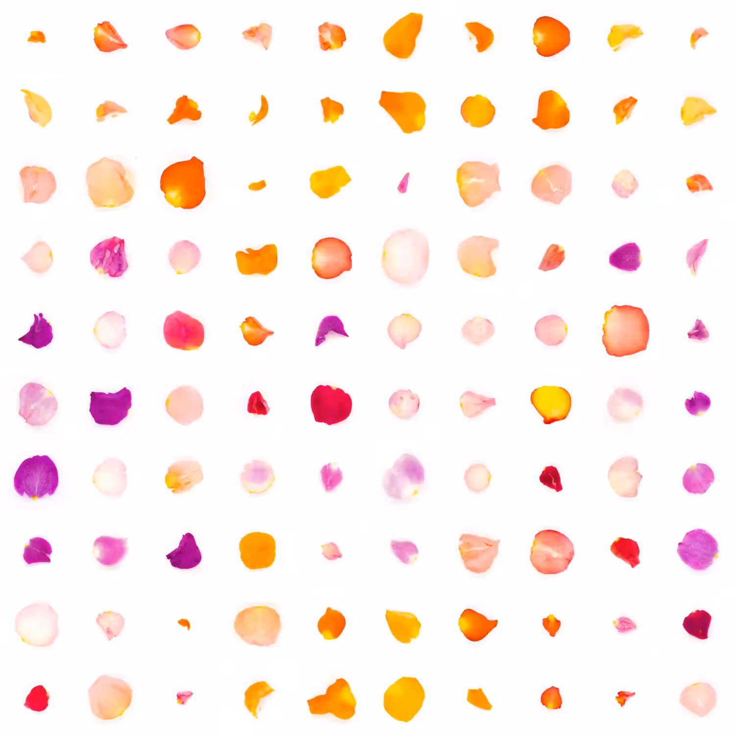 Infinite Petals 10x10#2379