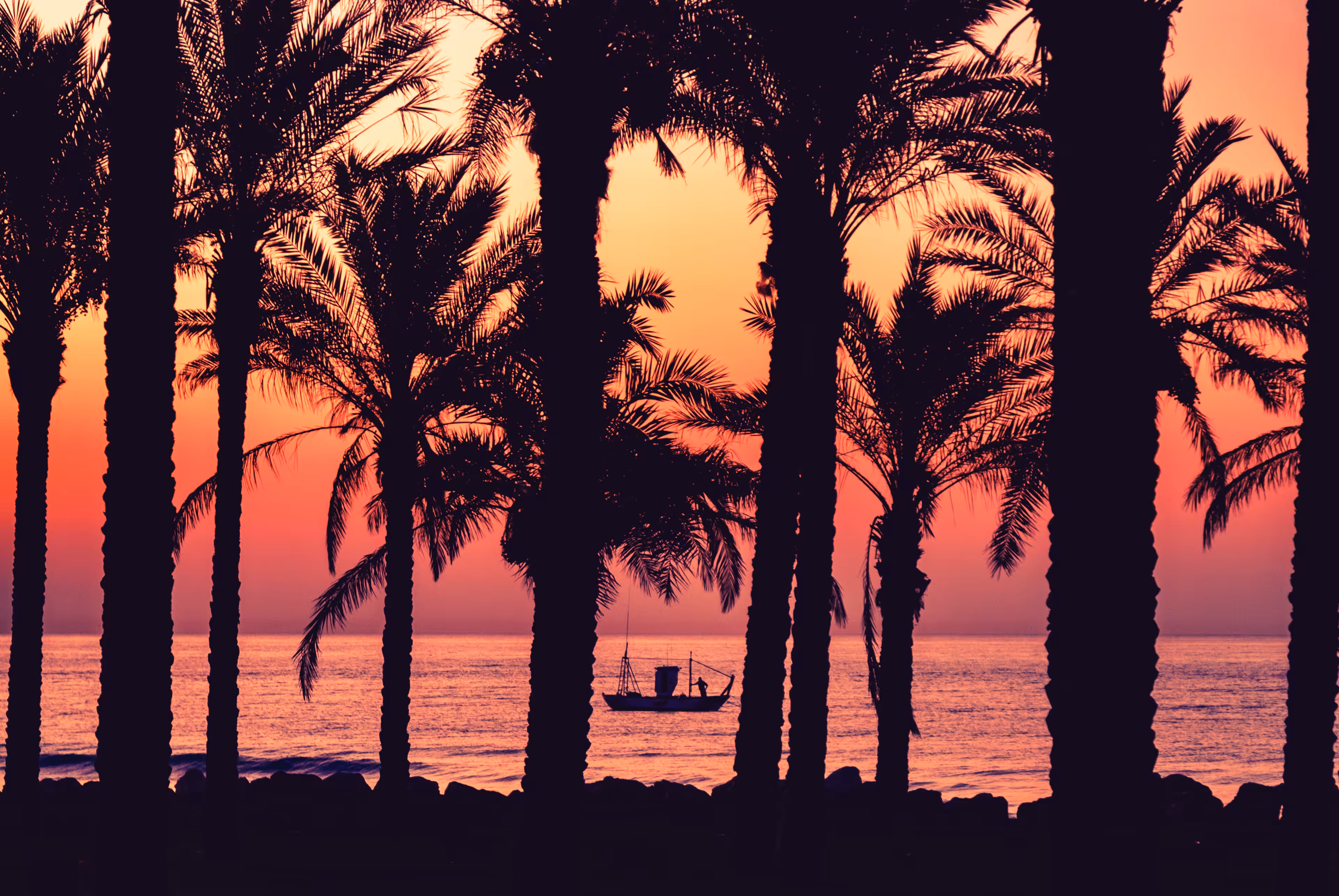 Wish You Were Here