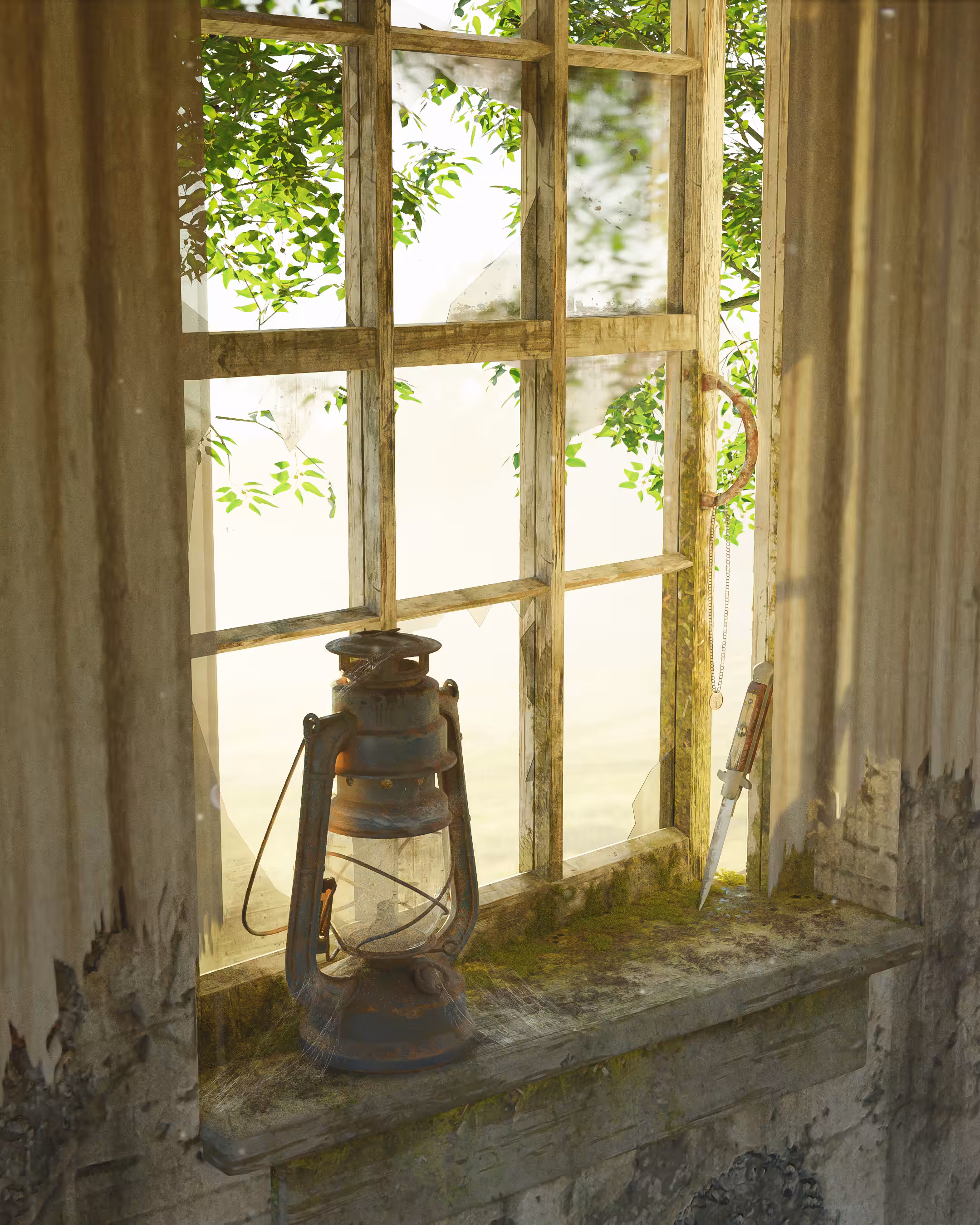 Look For the Light