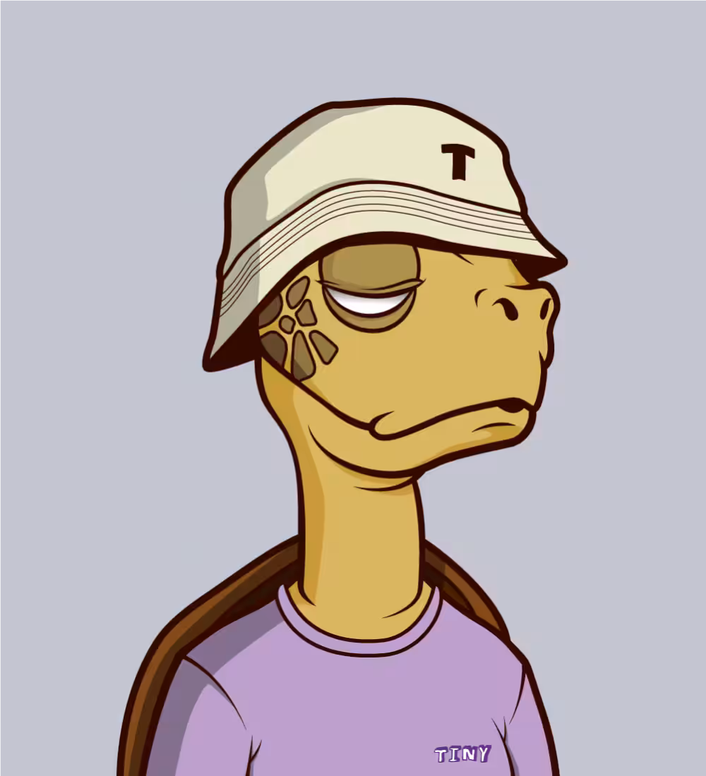 Tiny Turtle 65