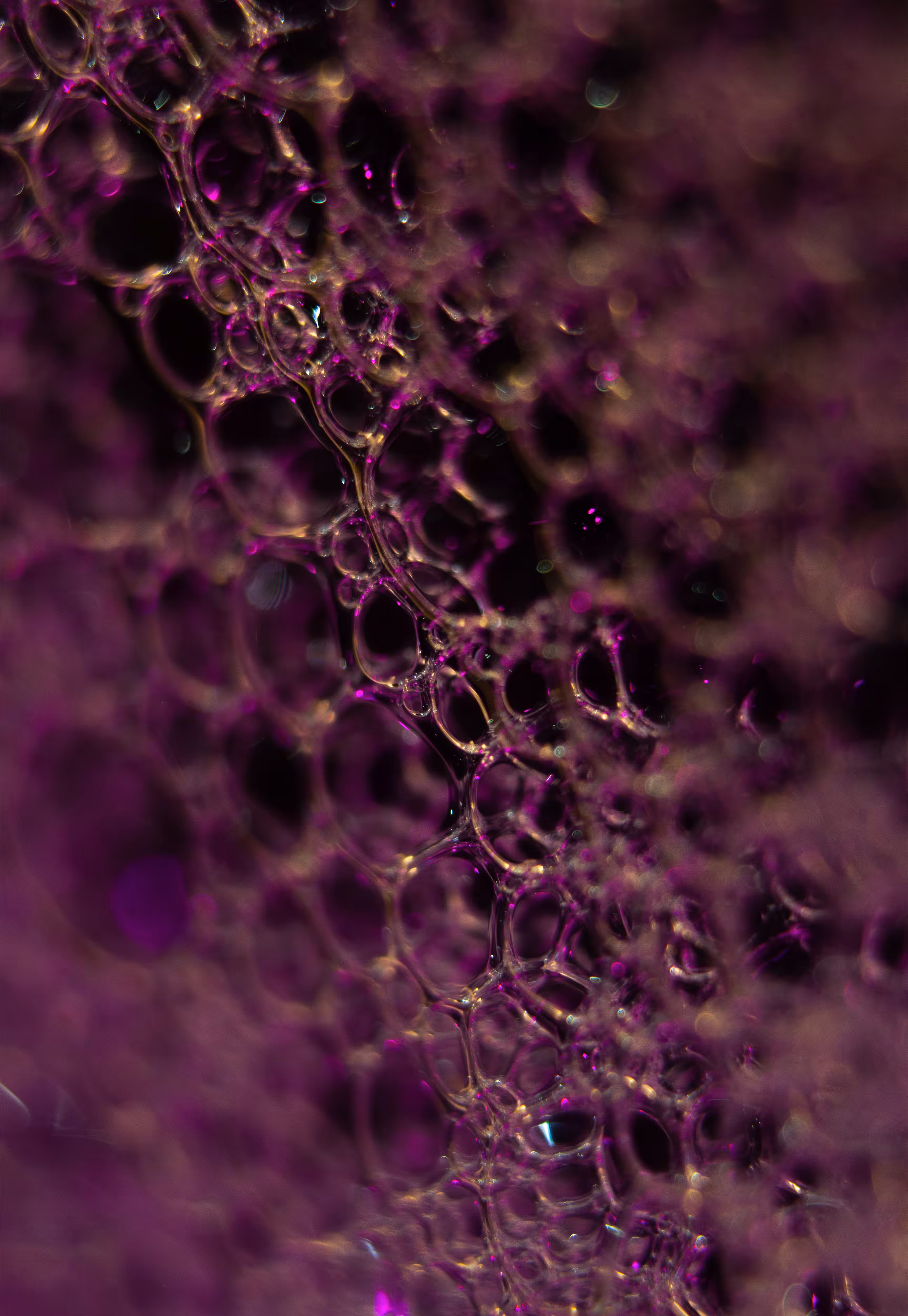 #187 Bubbles