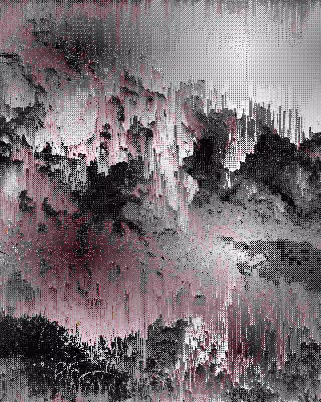 elegy