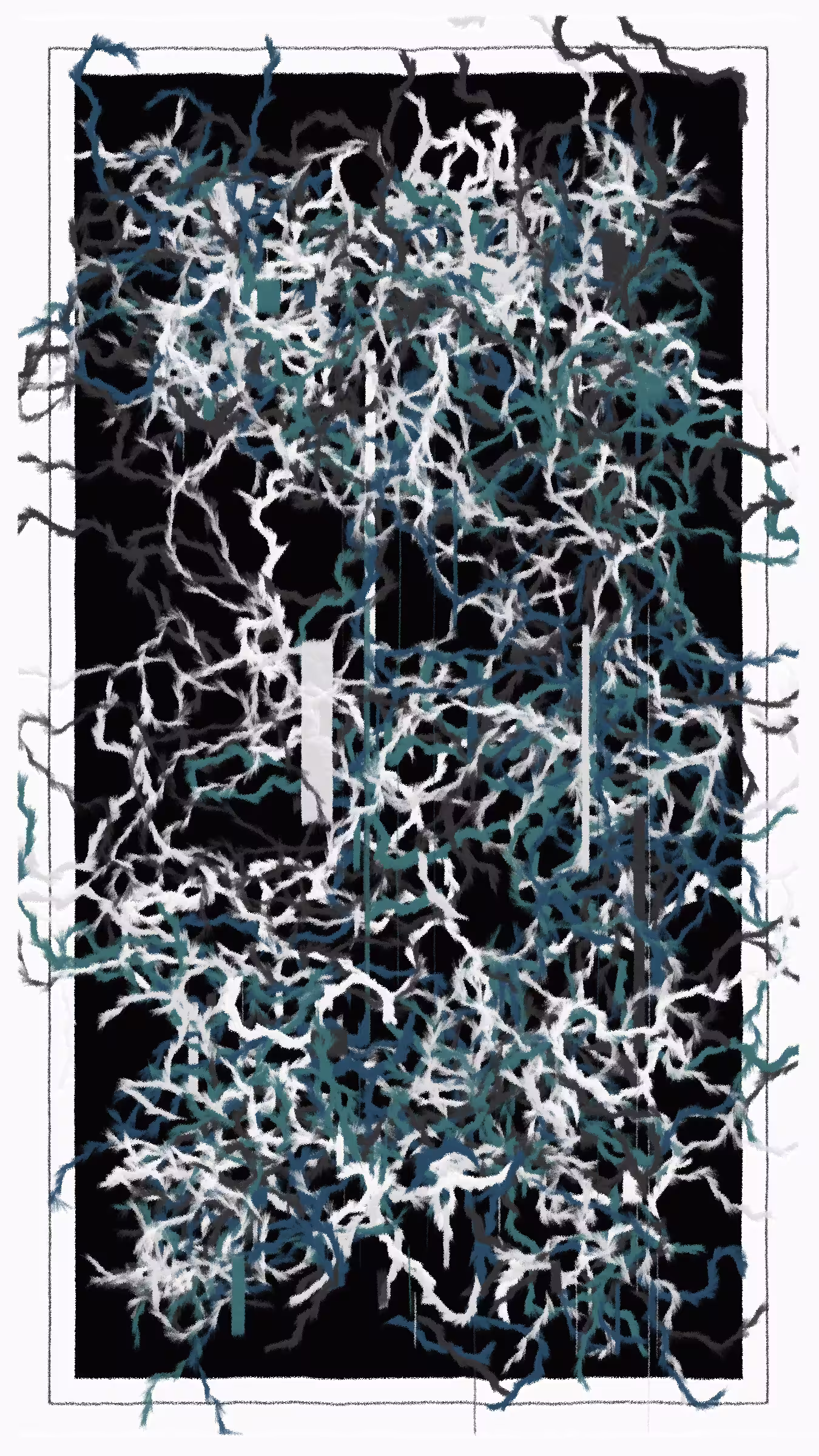 aaa #5