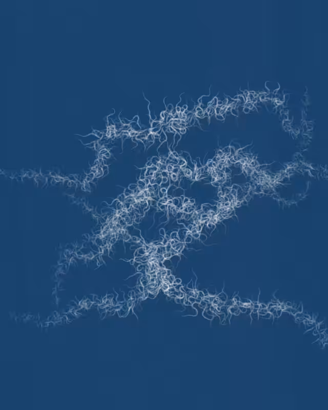 Cyanotypes #117