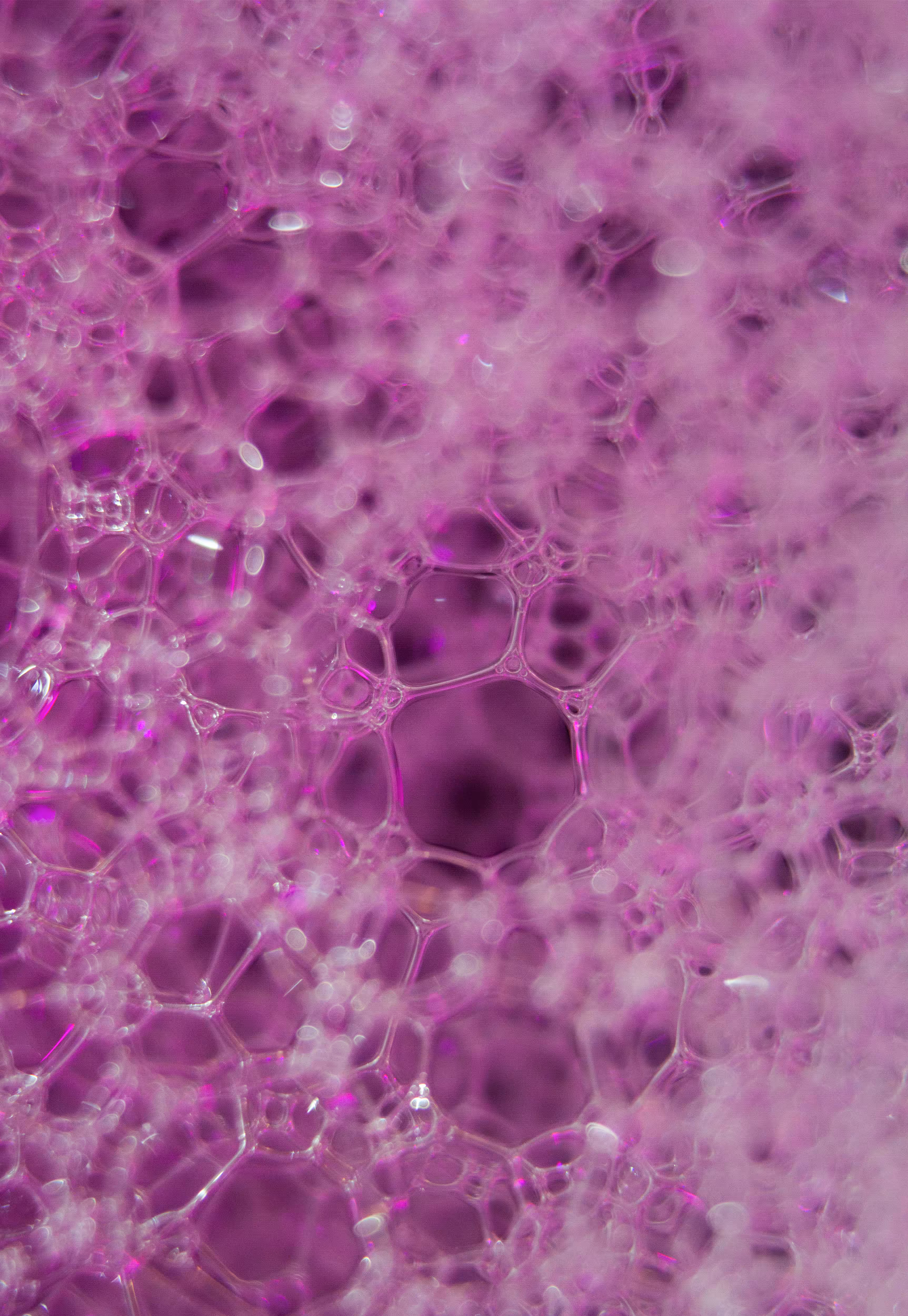 Abstract World of Soap Bubbles: #151 Bubbles