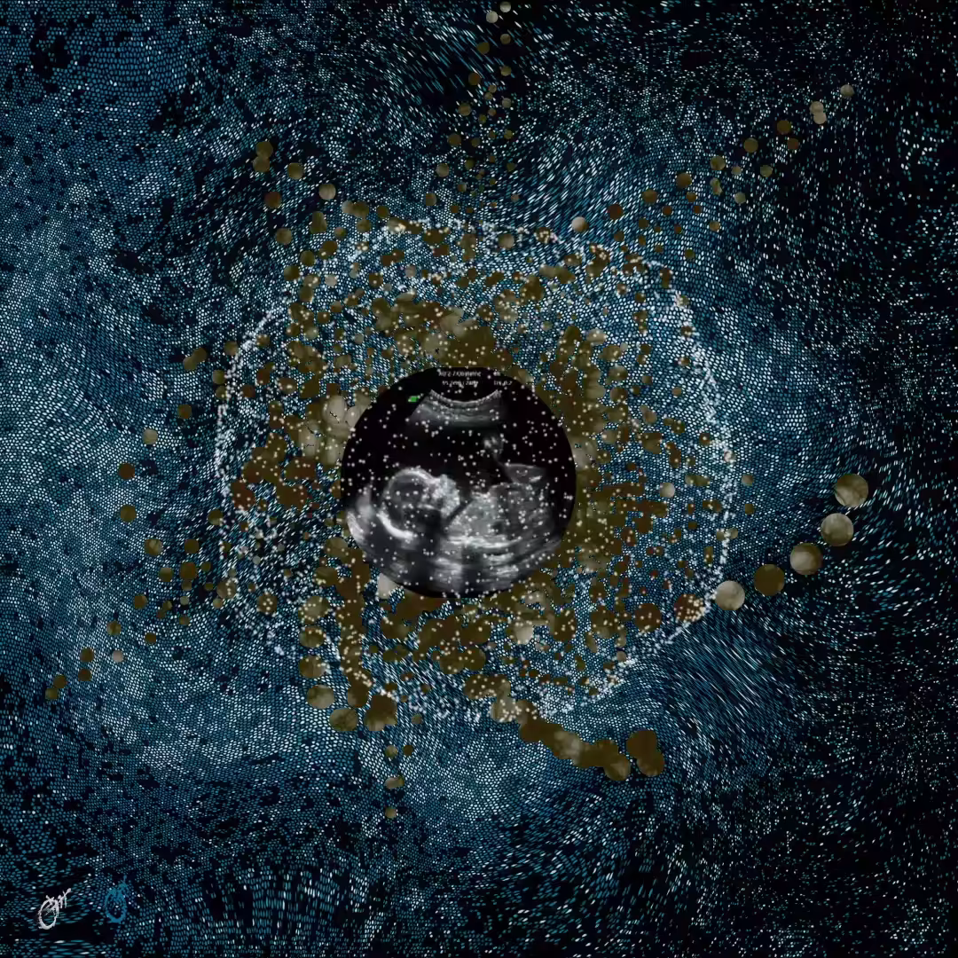 The beginning of an embryo