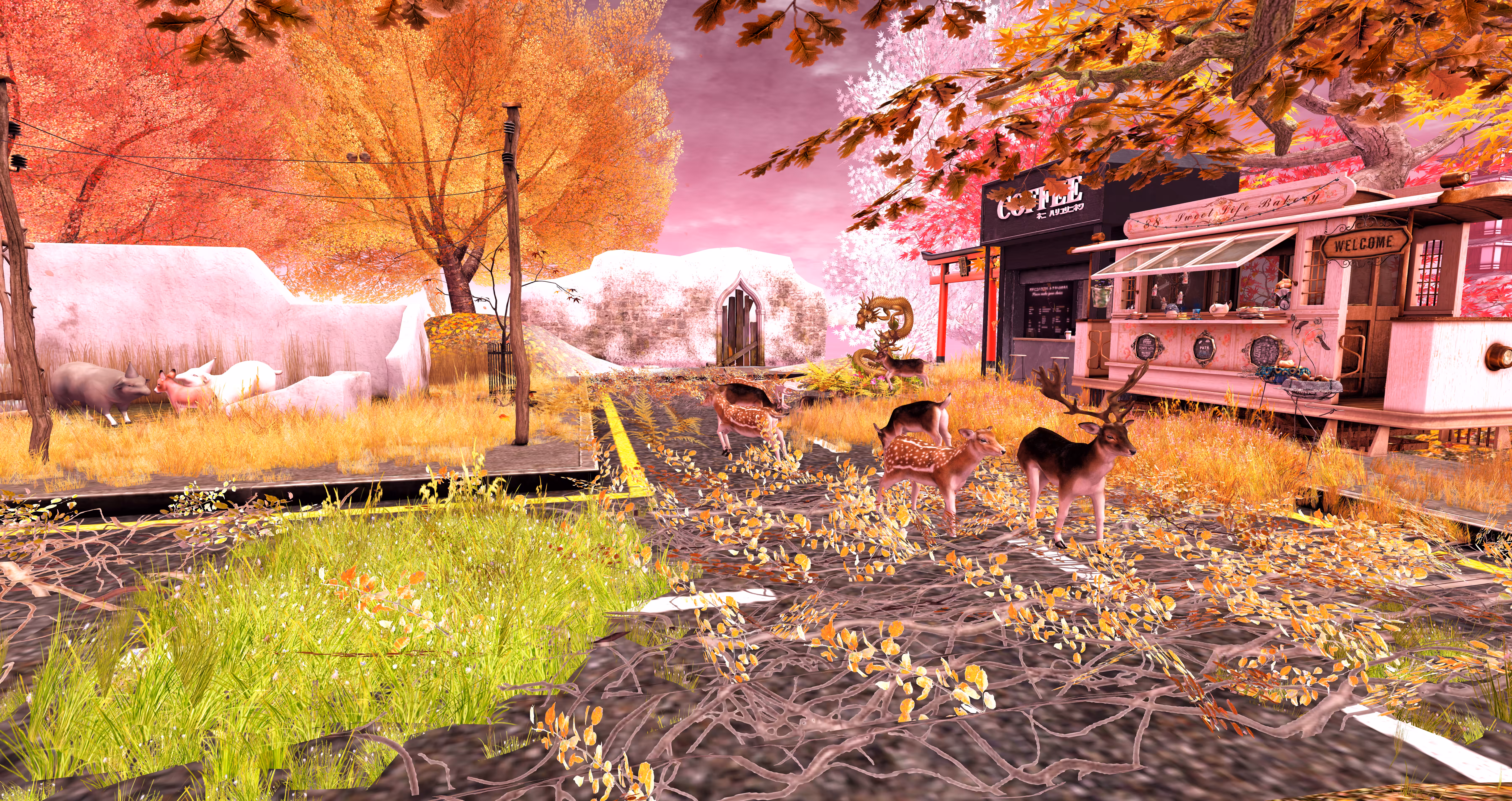 Abandoned Pink