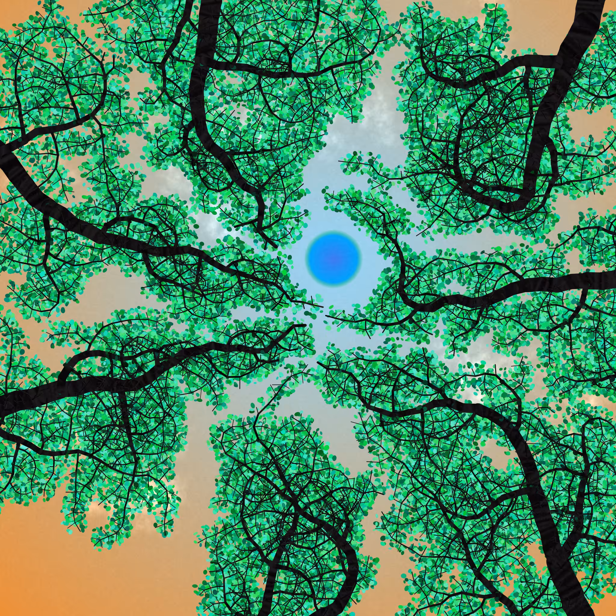 Tree Skyness #102