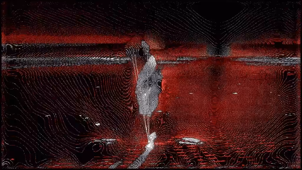 Motion Magnetion