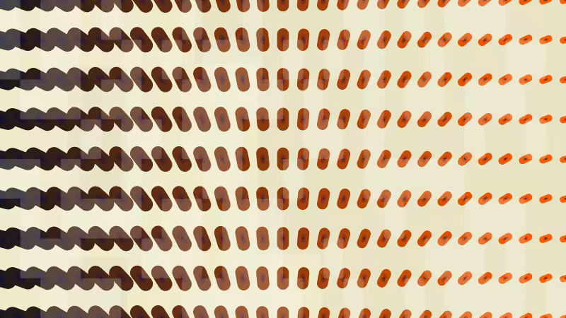 Polka #170