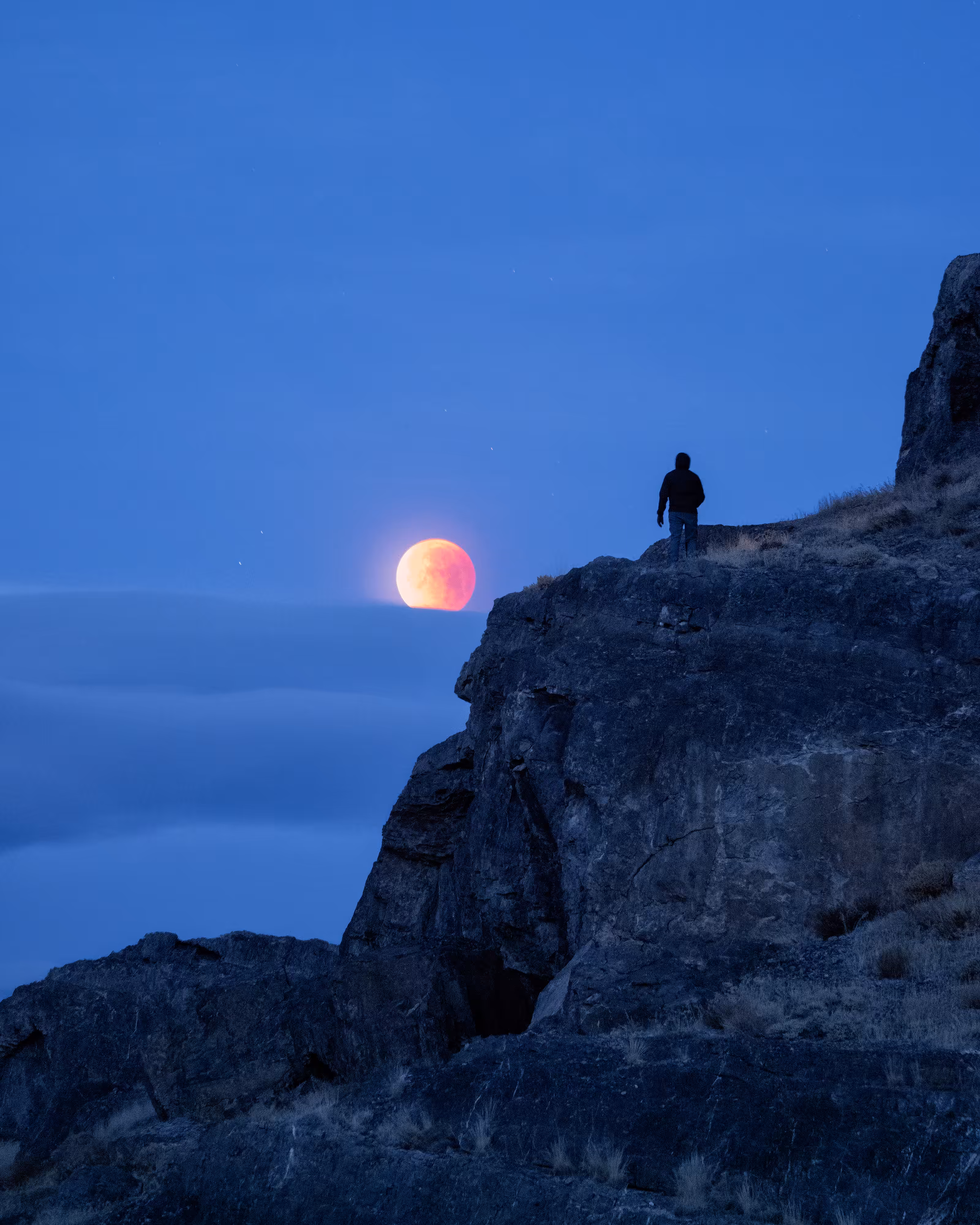 Eye on the Moon
