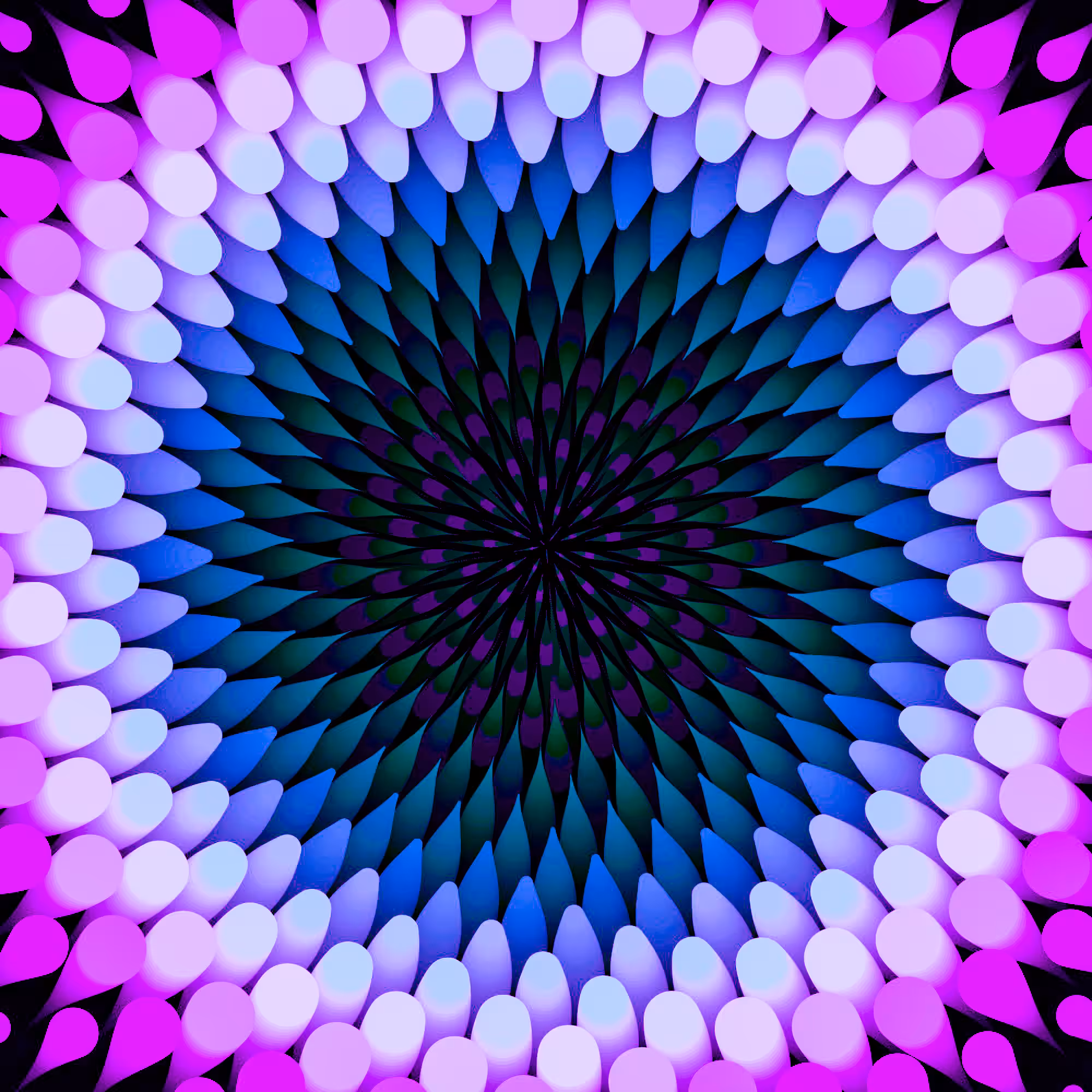 flower 2