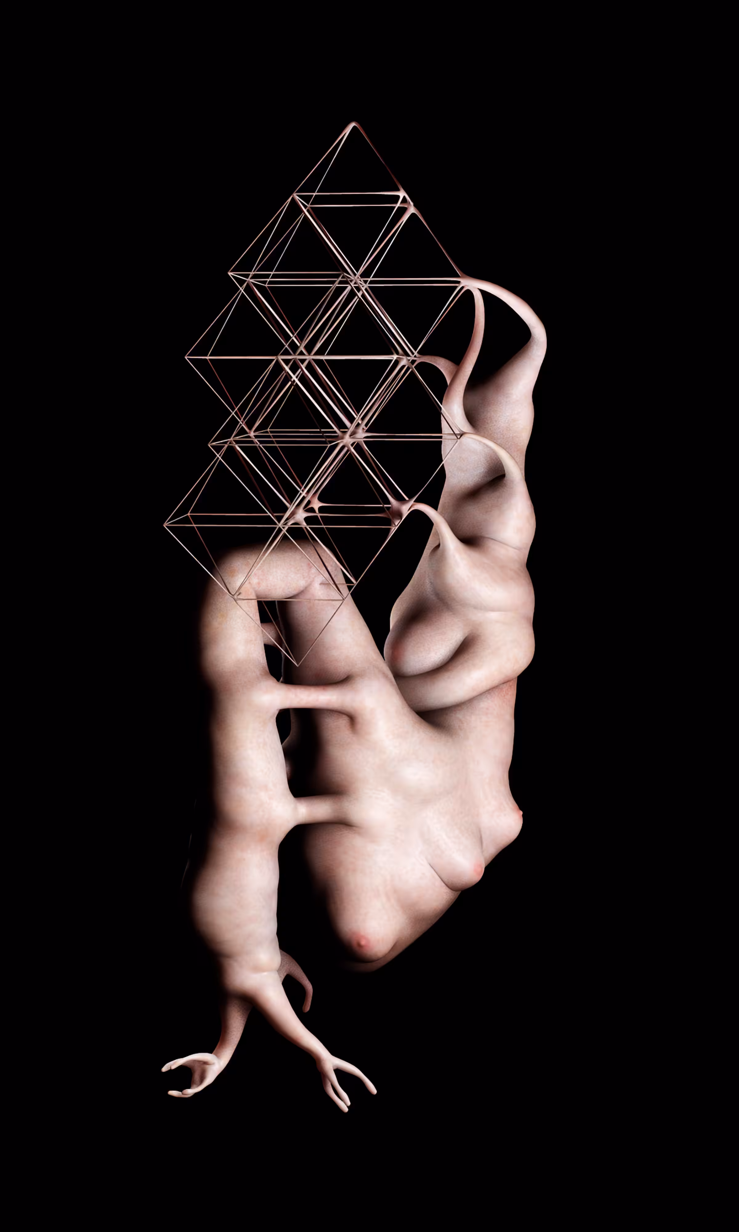 Human Reconfiguration X