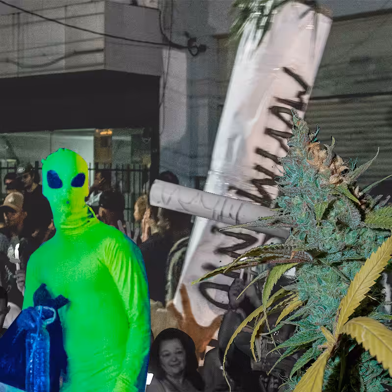 marijuana march #37