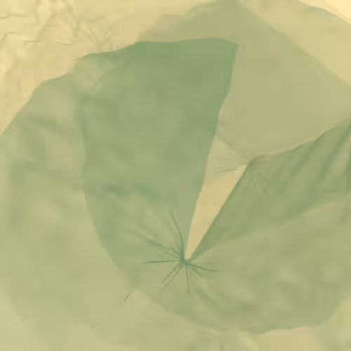 Lillypads #96