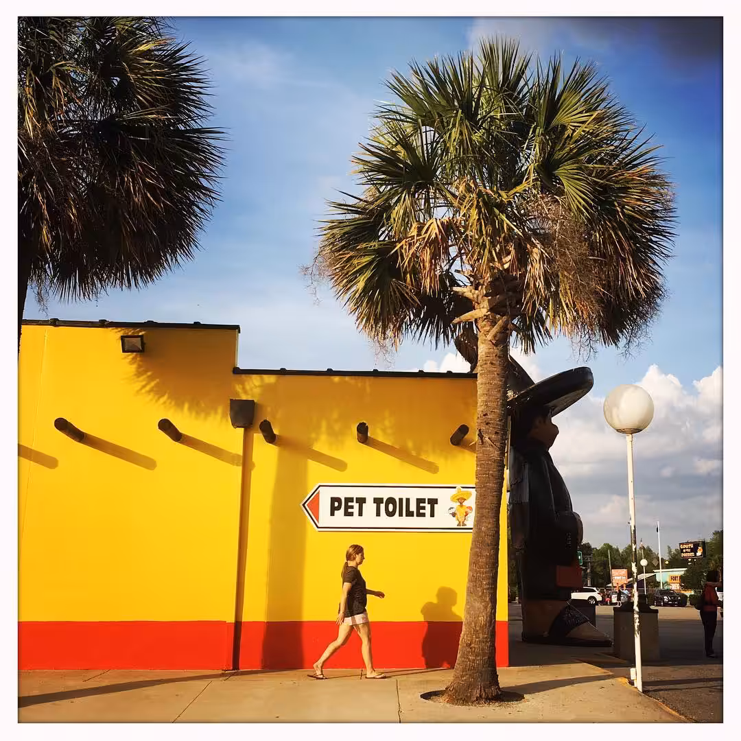 The Pet Toilet