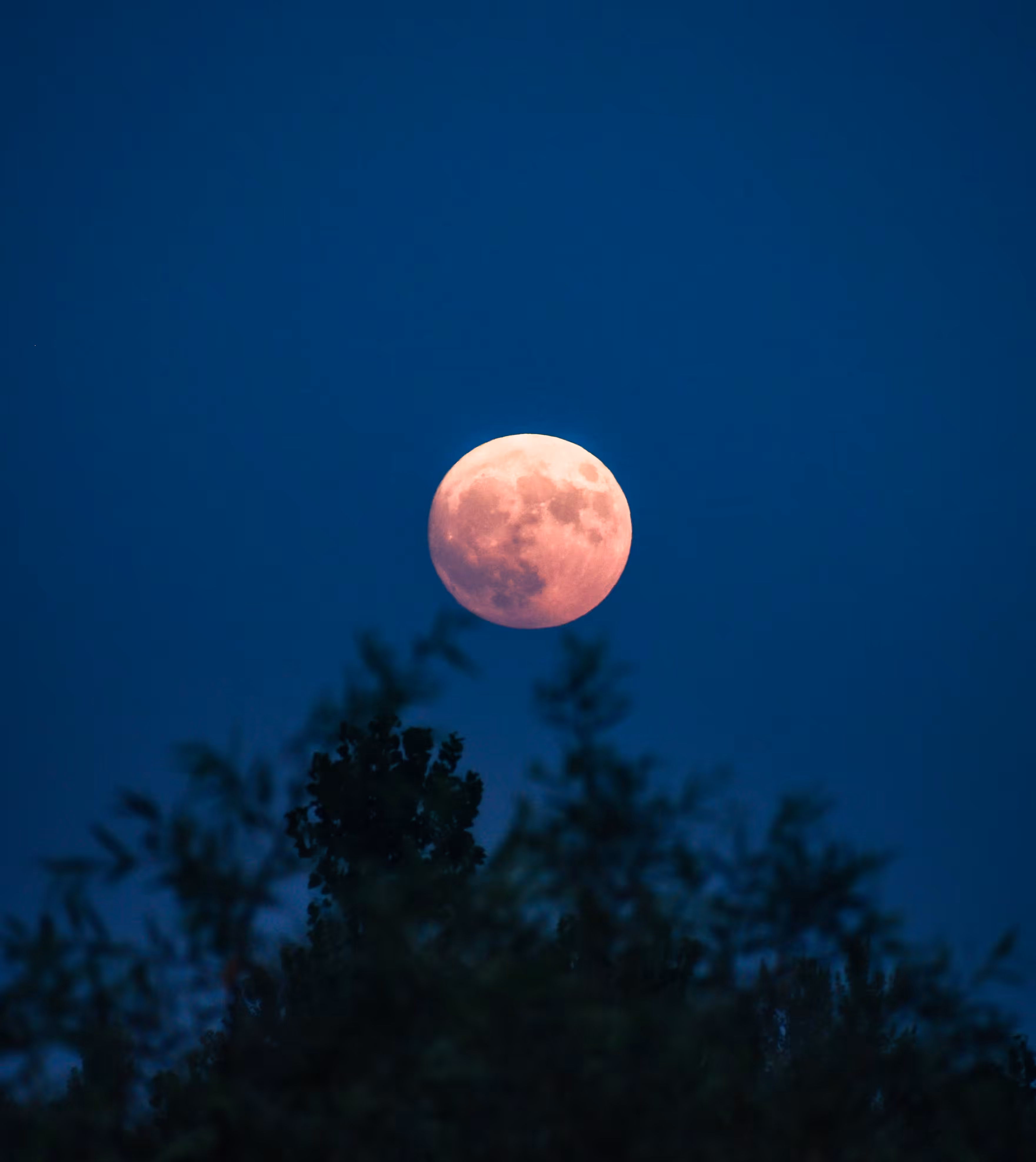 Super Blue Moon 2023
