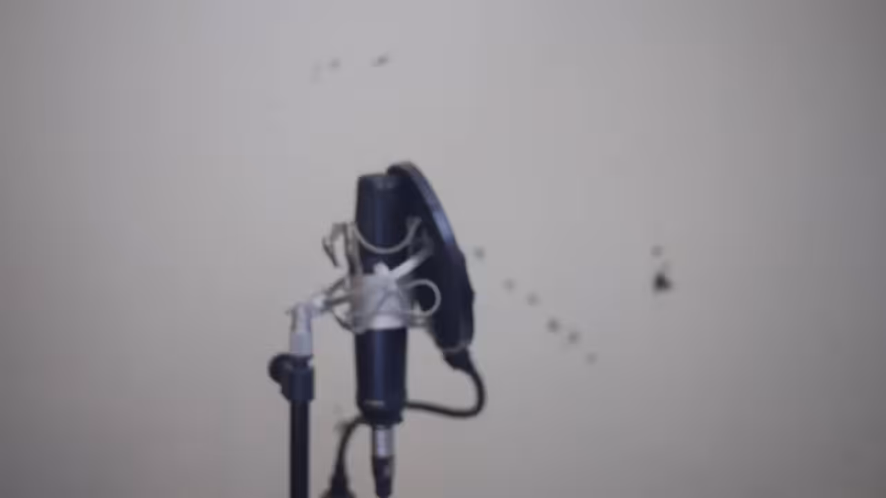 Song A Day: Stop Thinking That Way