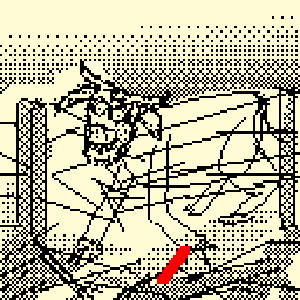 Bull Trap