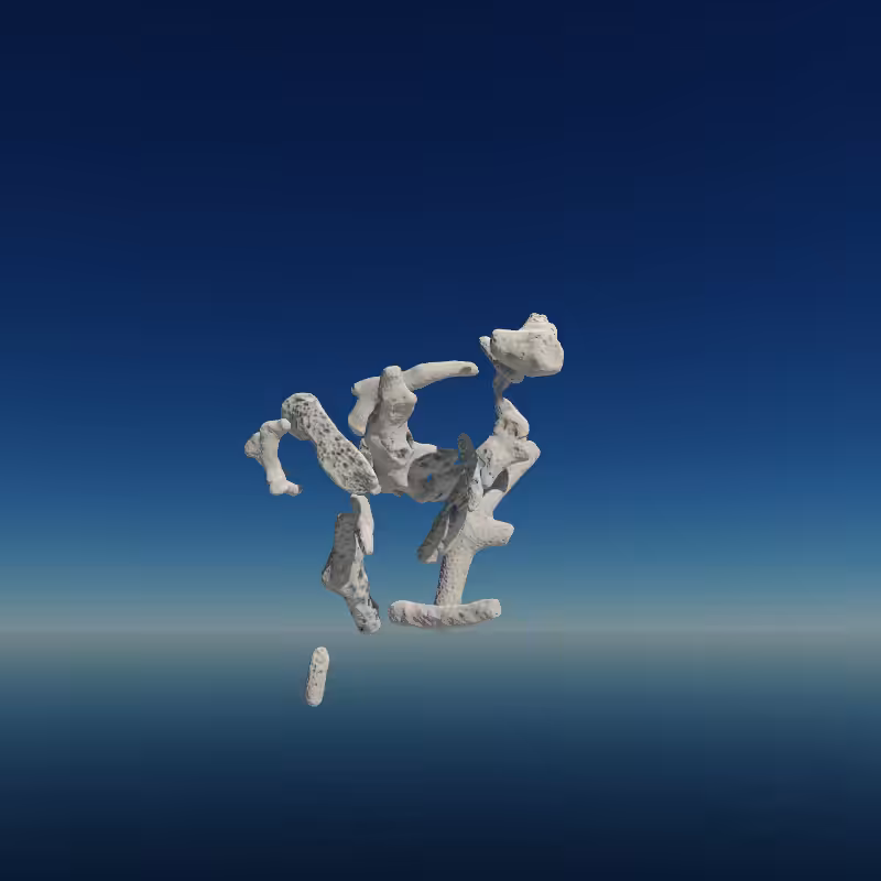 Bone Work (Gulf of Mexico) 2022 #66