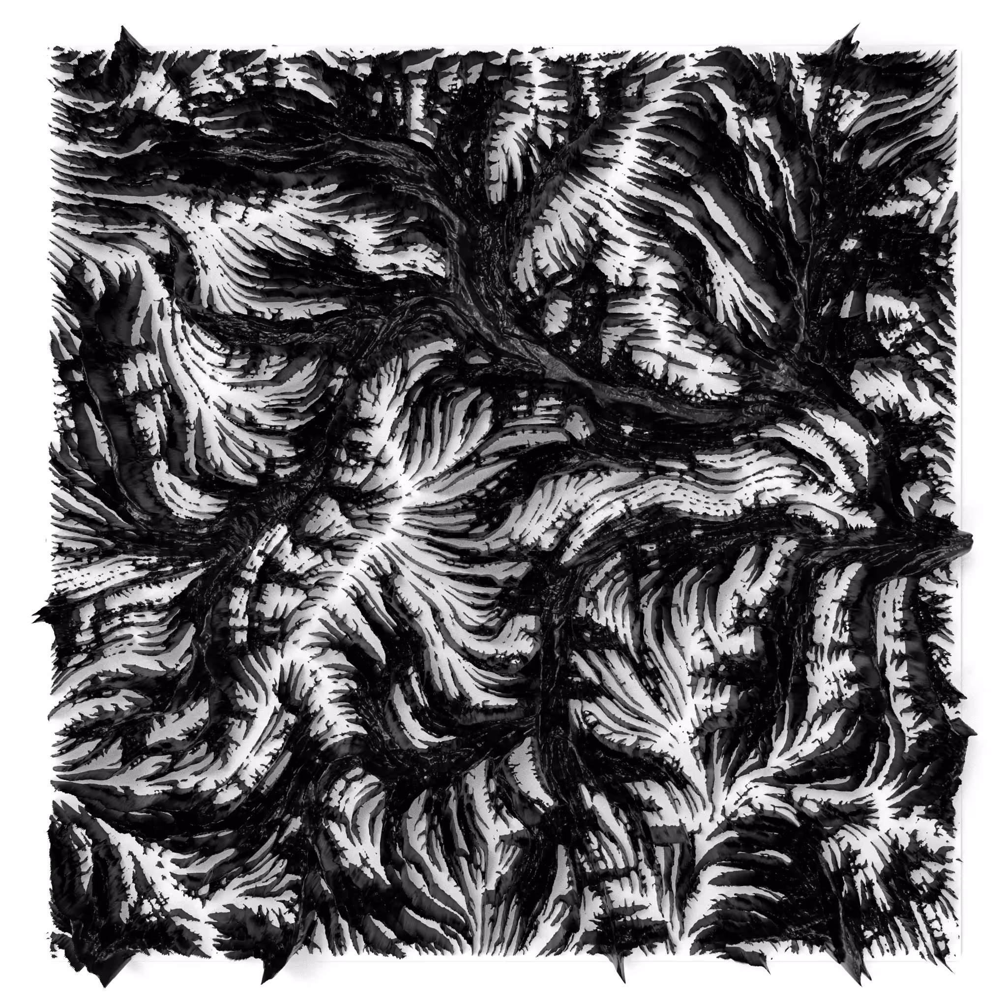 BW Algoscapes 17