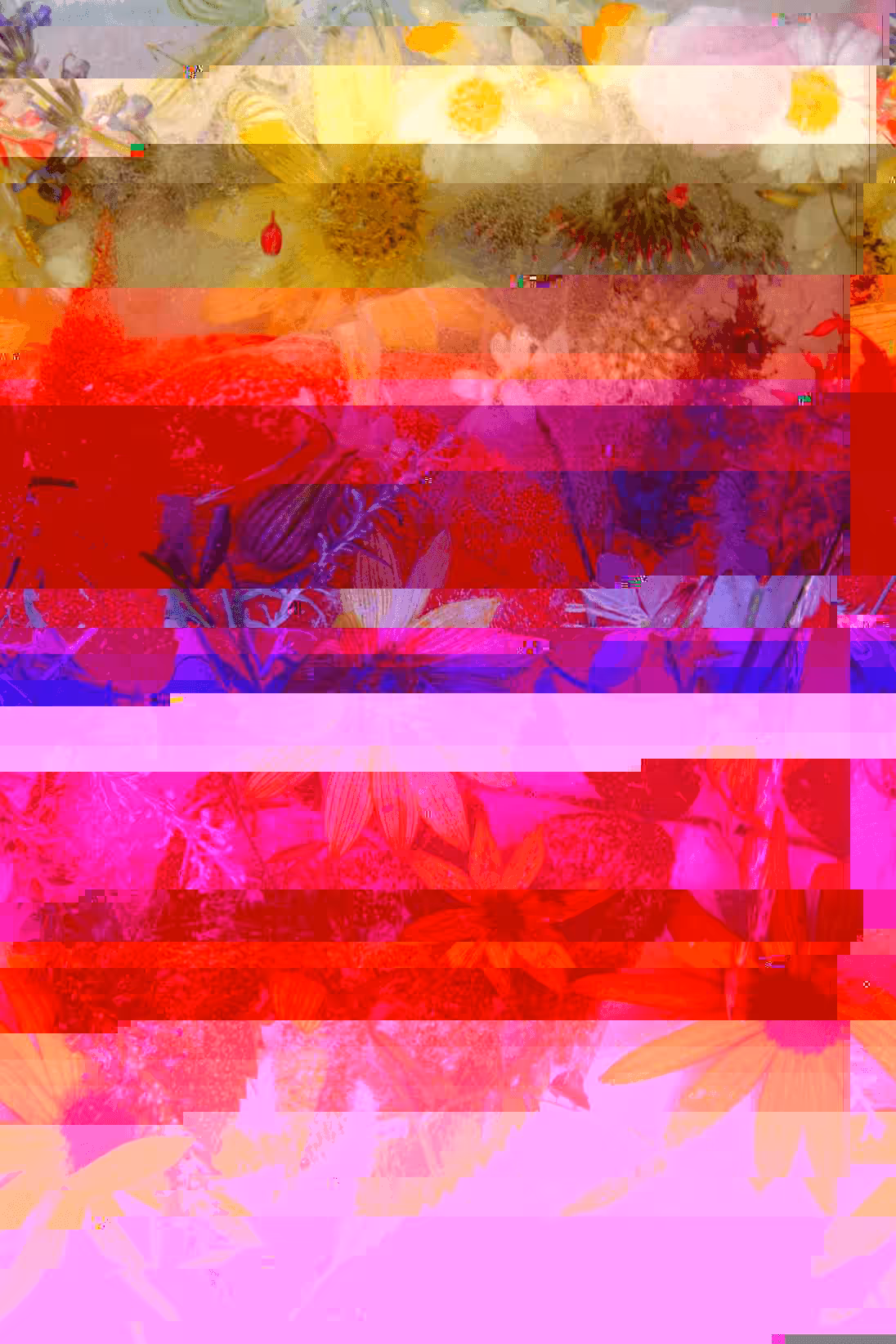 Glitch #17