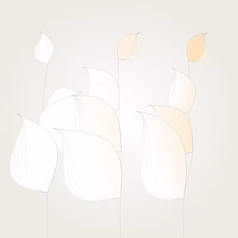Colorleaves #15