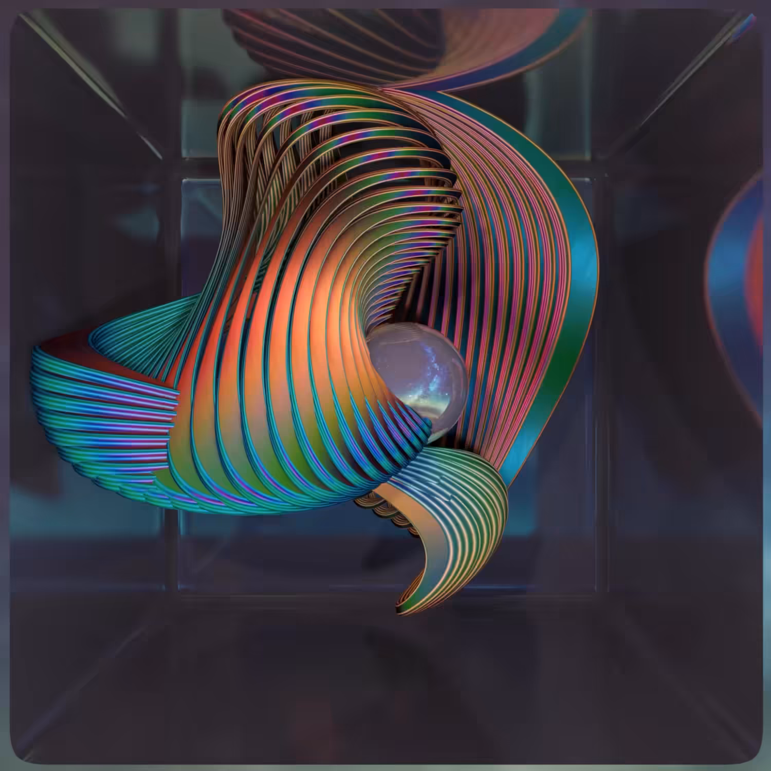 Whorl Partition #2