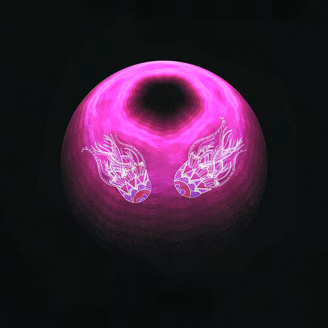 The Jellyfish
