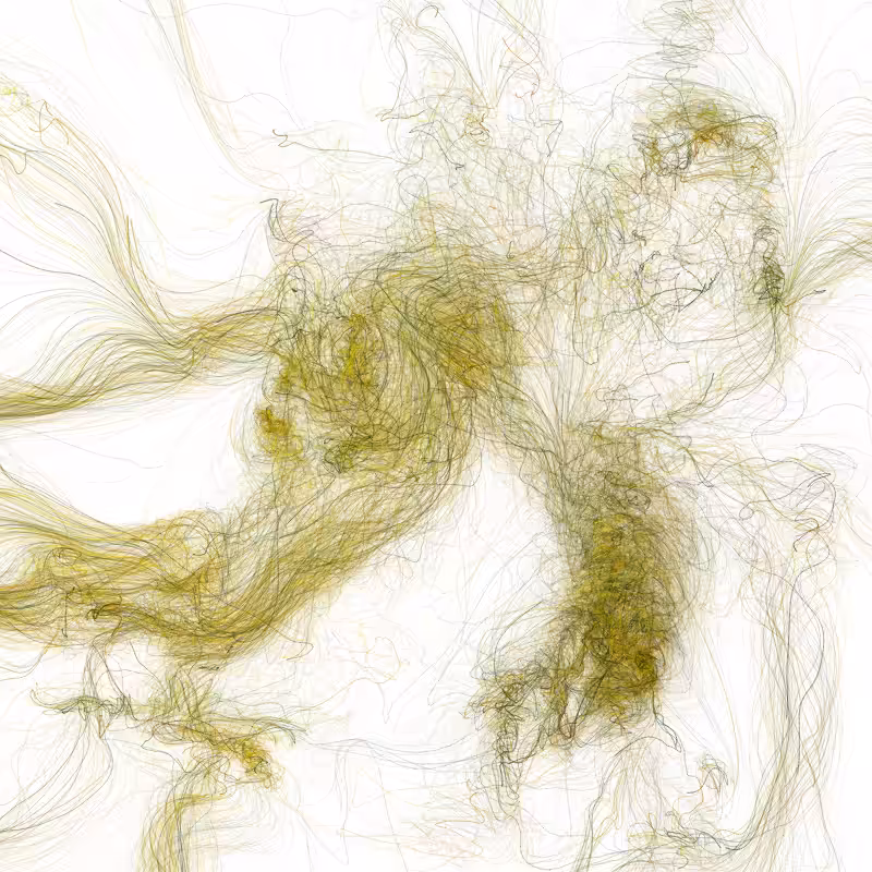 Hypericum #162