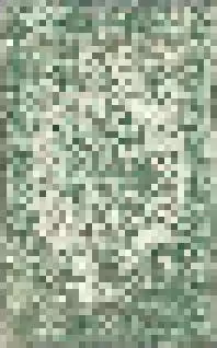 Rug #5