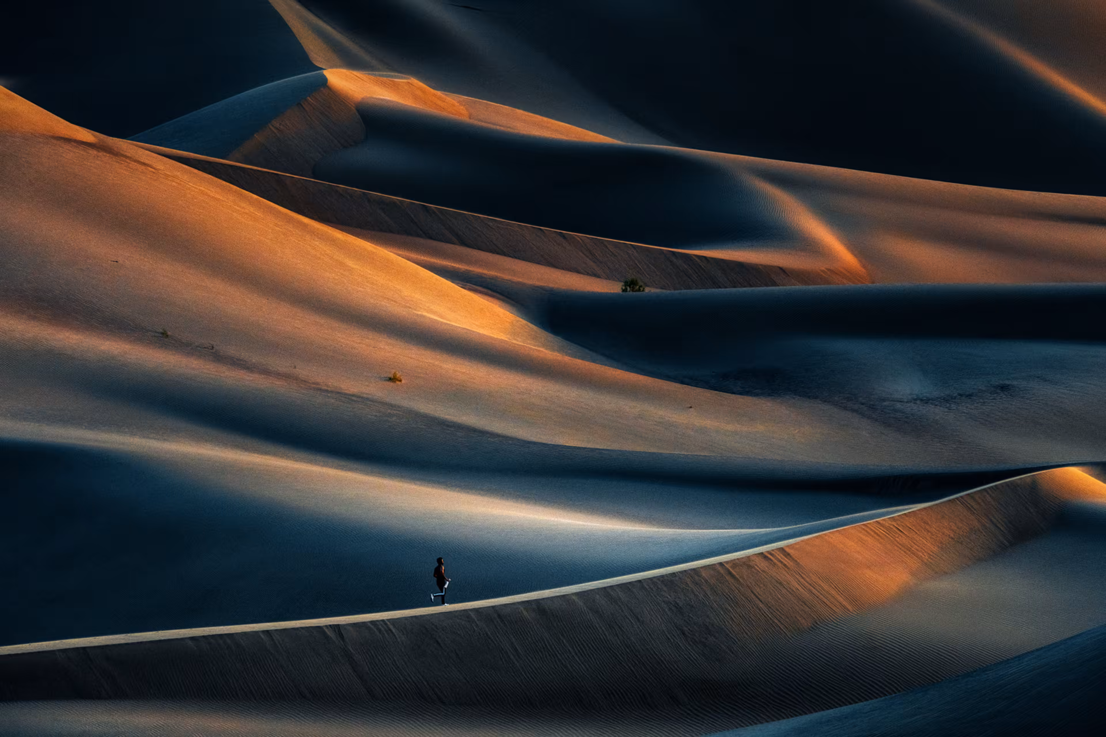 magnificence of desert VII