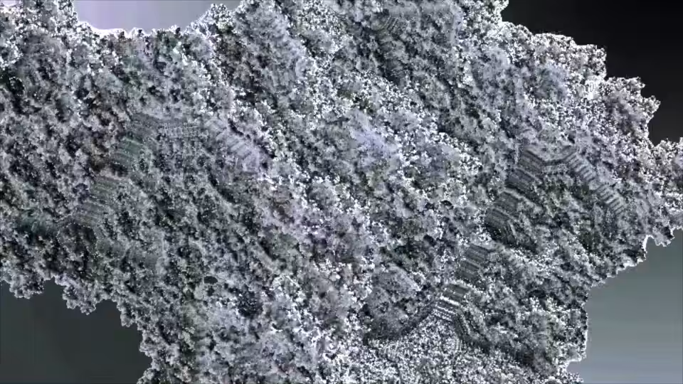 b2b