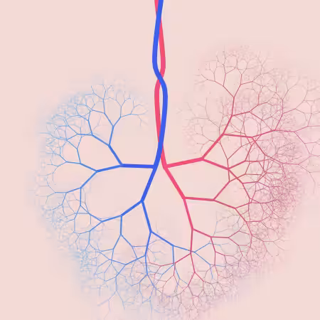 capillary trees #16