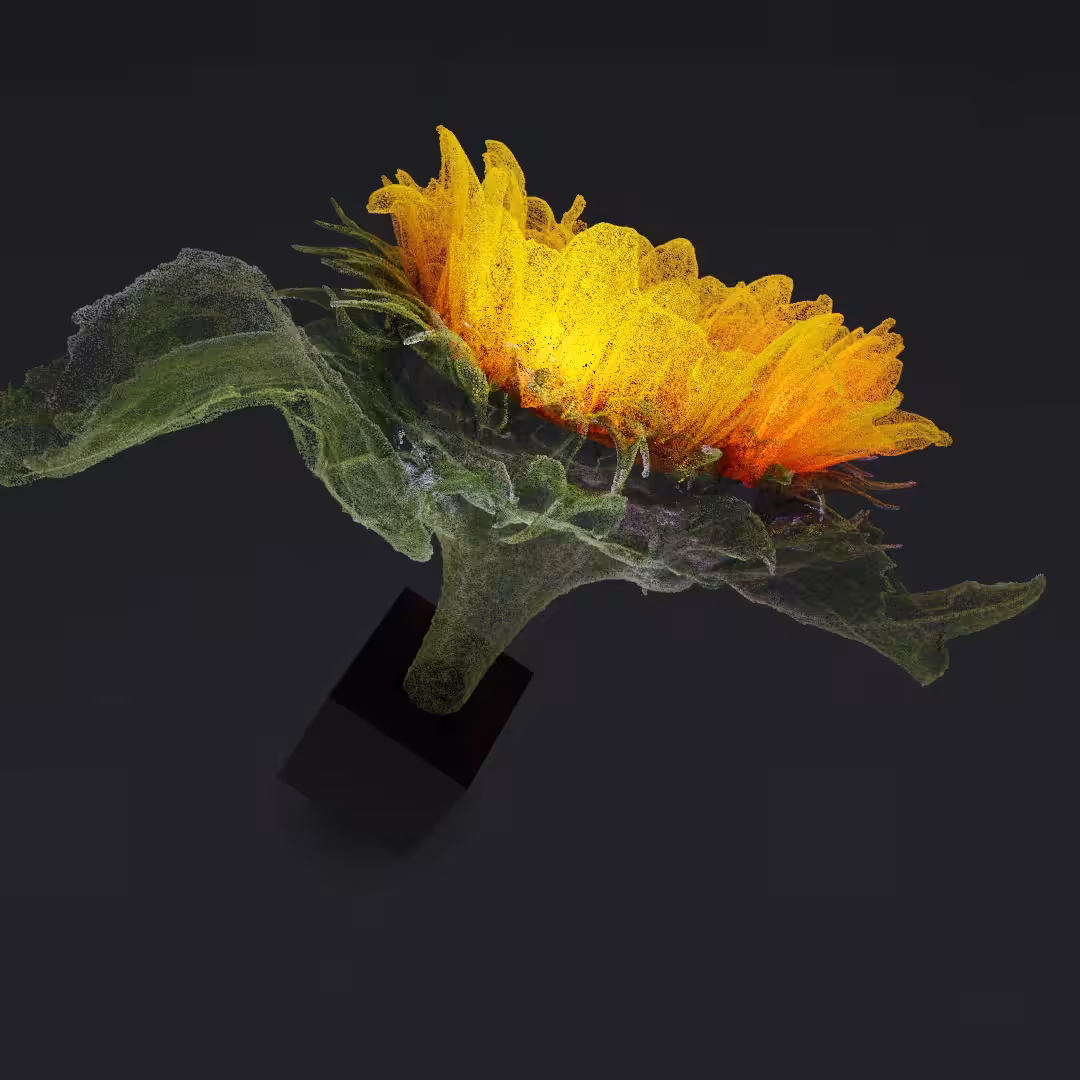Just a flower IV