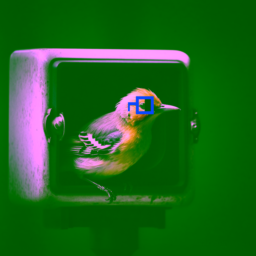 NounBird