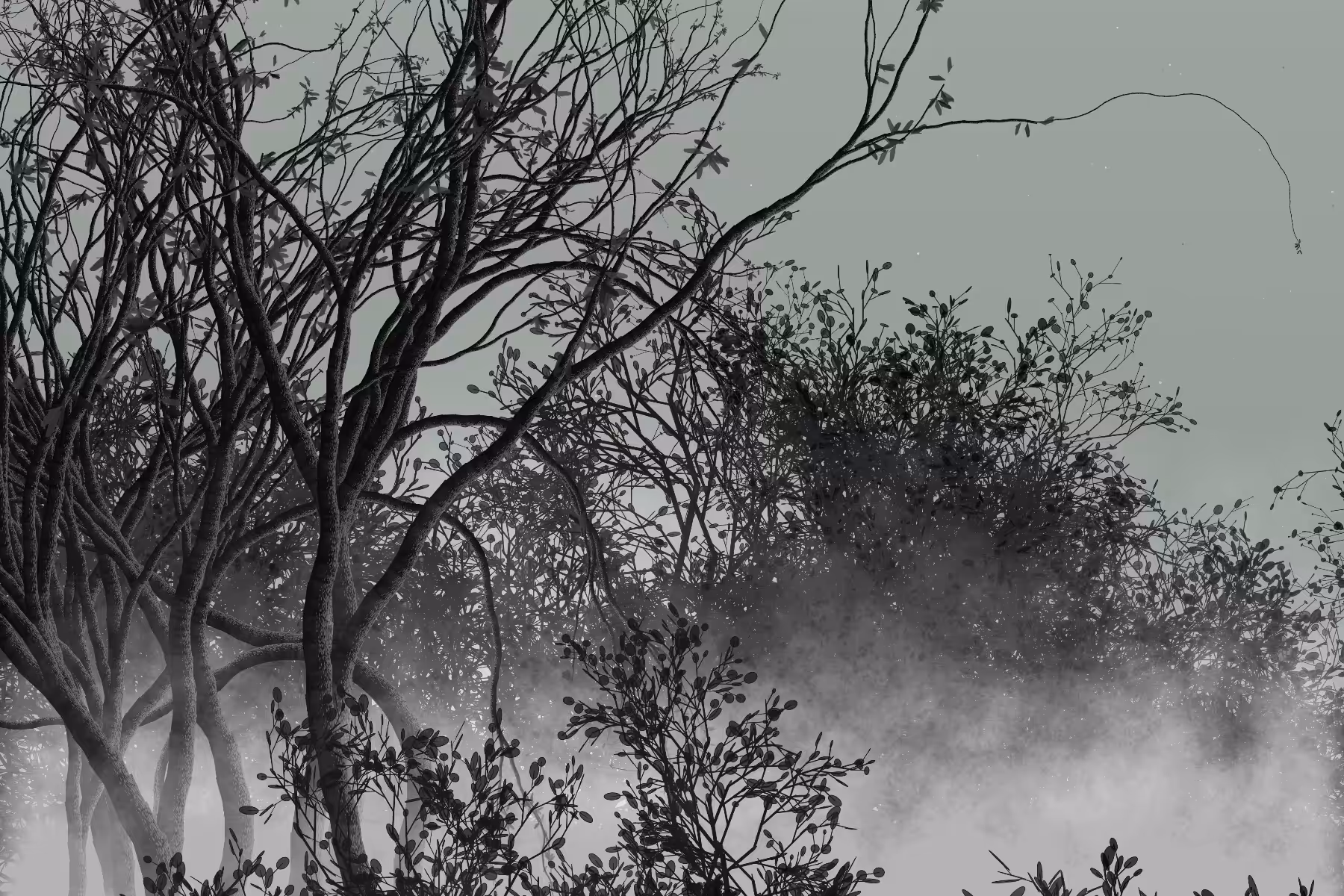 Morning Mist #147