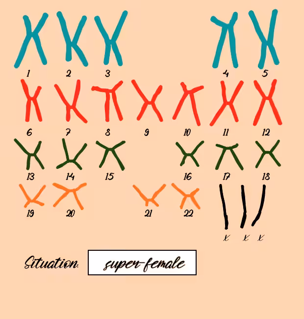 "Karyotype" #5