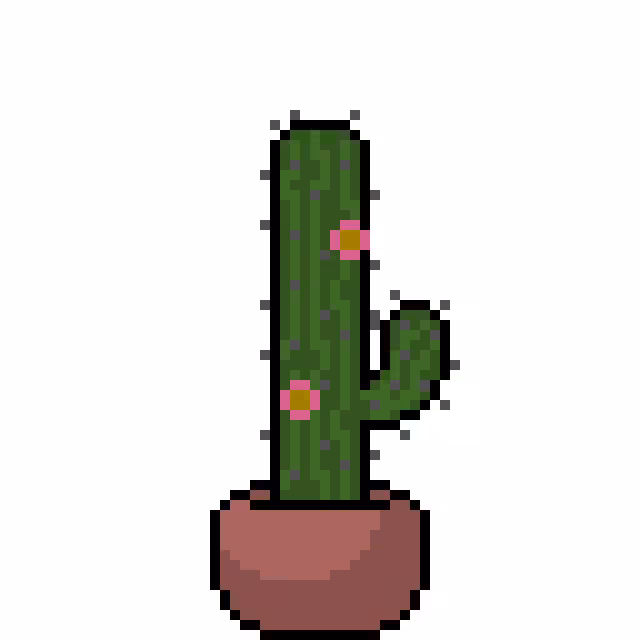 Regular Cactus #15773