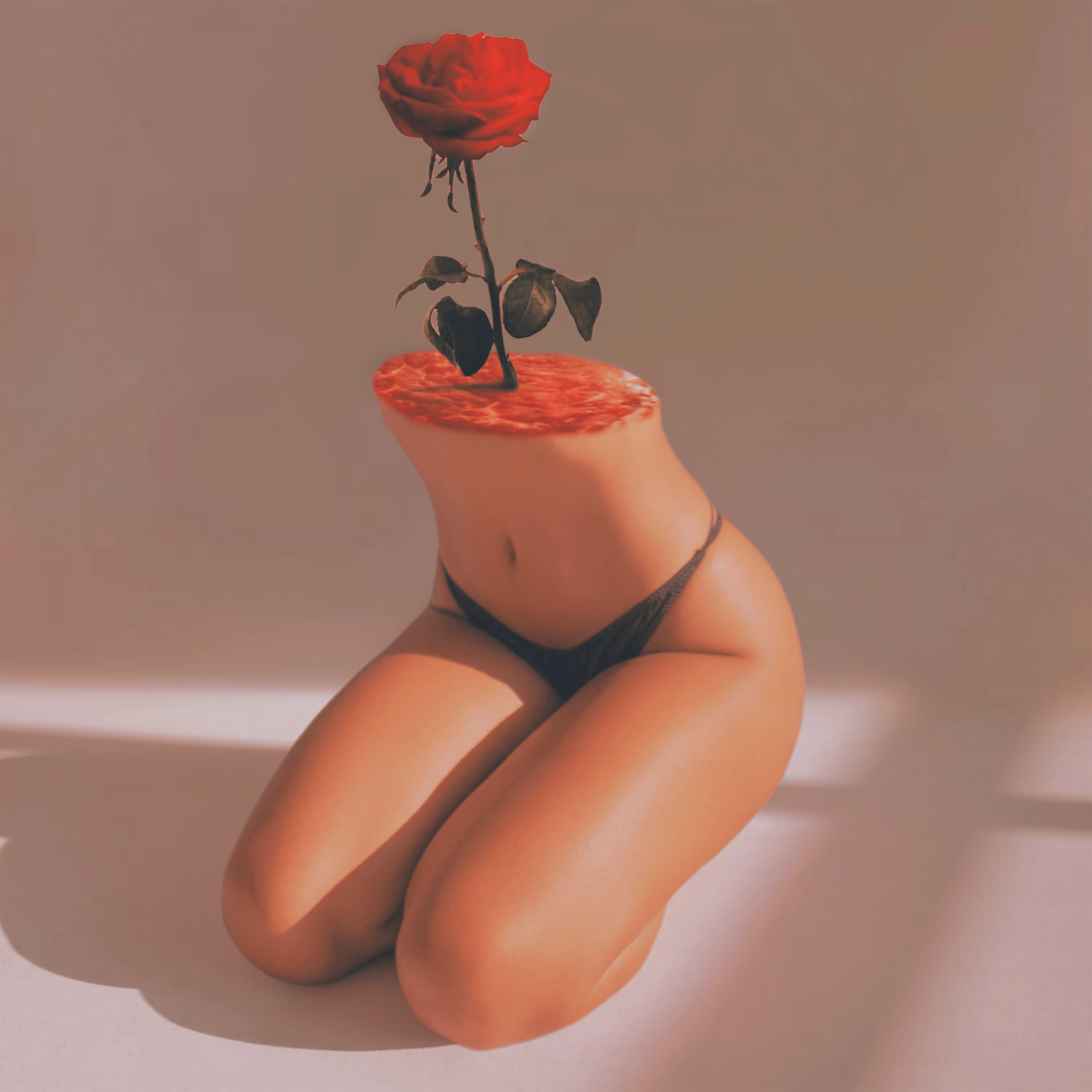 Alone Isolated Rose